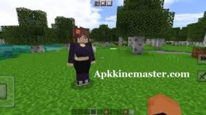 Jenny APK